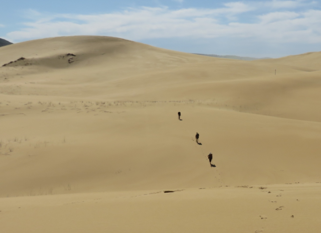 alexandria trail dunes